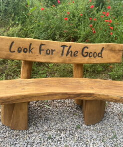 Look For The Good